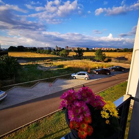 Teo Apartment Braşov Buitenkant foto